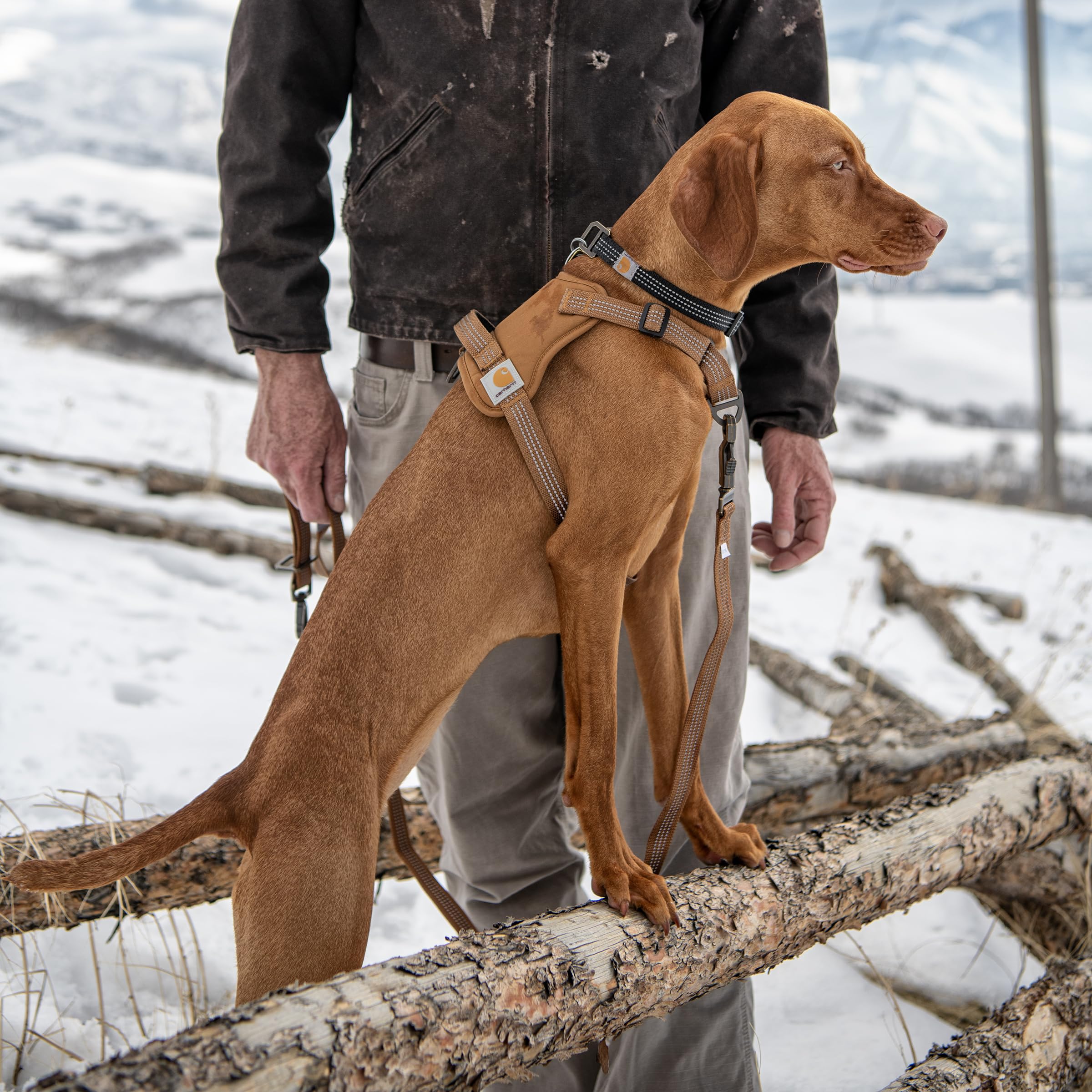 Carhartt Nylon Duck No Pull Dog Harness, Fully Adjustable Dog Harness with Quick Control Handle and Reflective Accents, Carhartt Brown, Large - Image 5