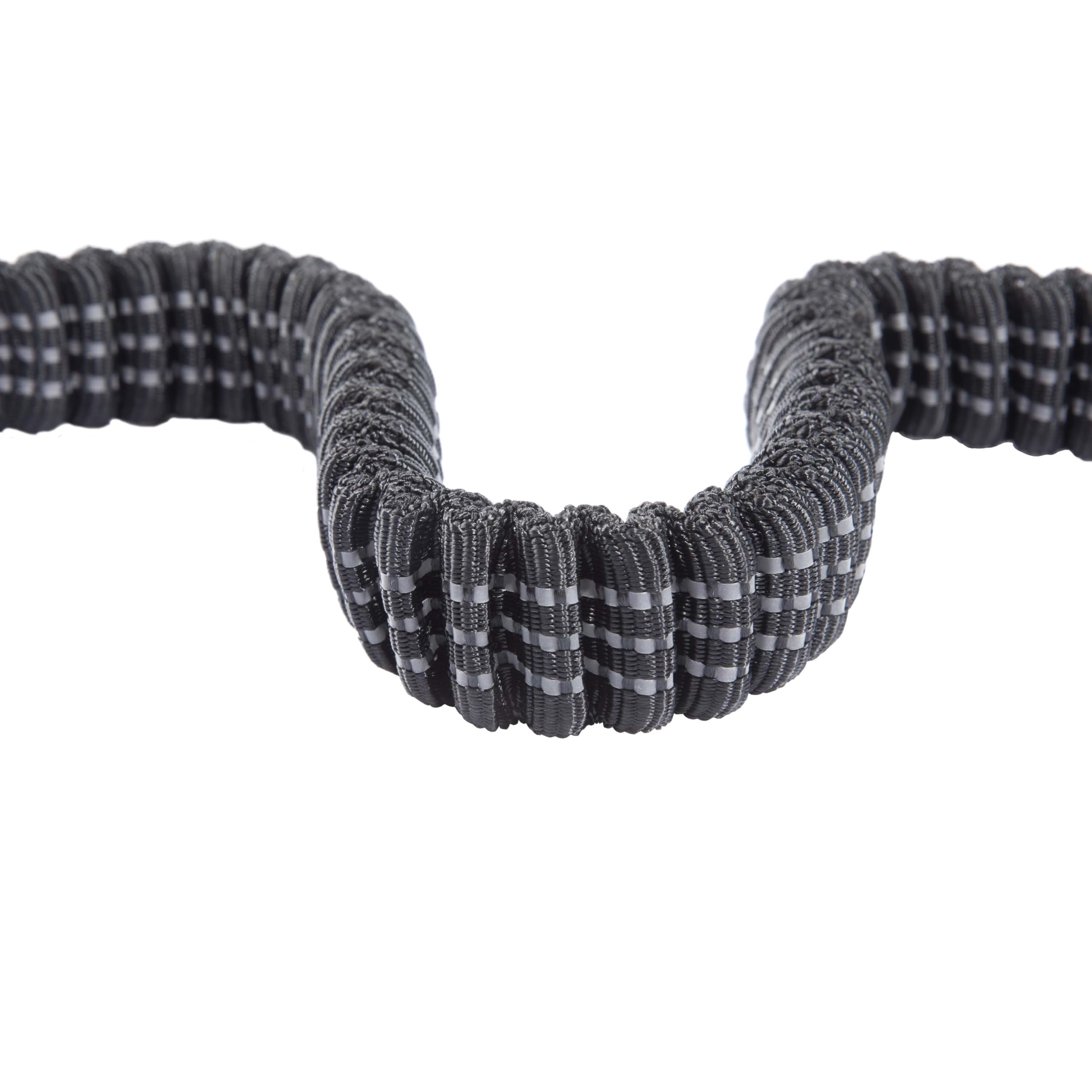 Carhartt Pet Durable Nylon Webbing Shock Absorbing Leash for Dogs, Reflective Stitching for Visibility, Black, Large - Image 3