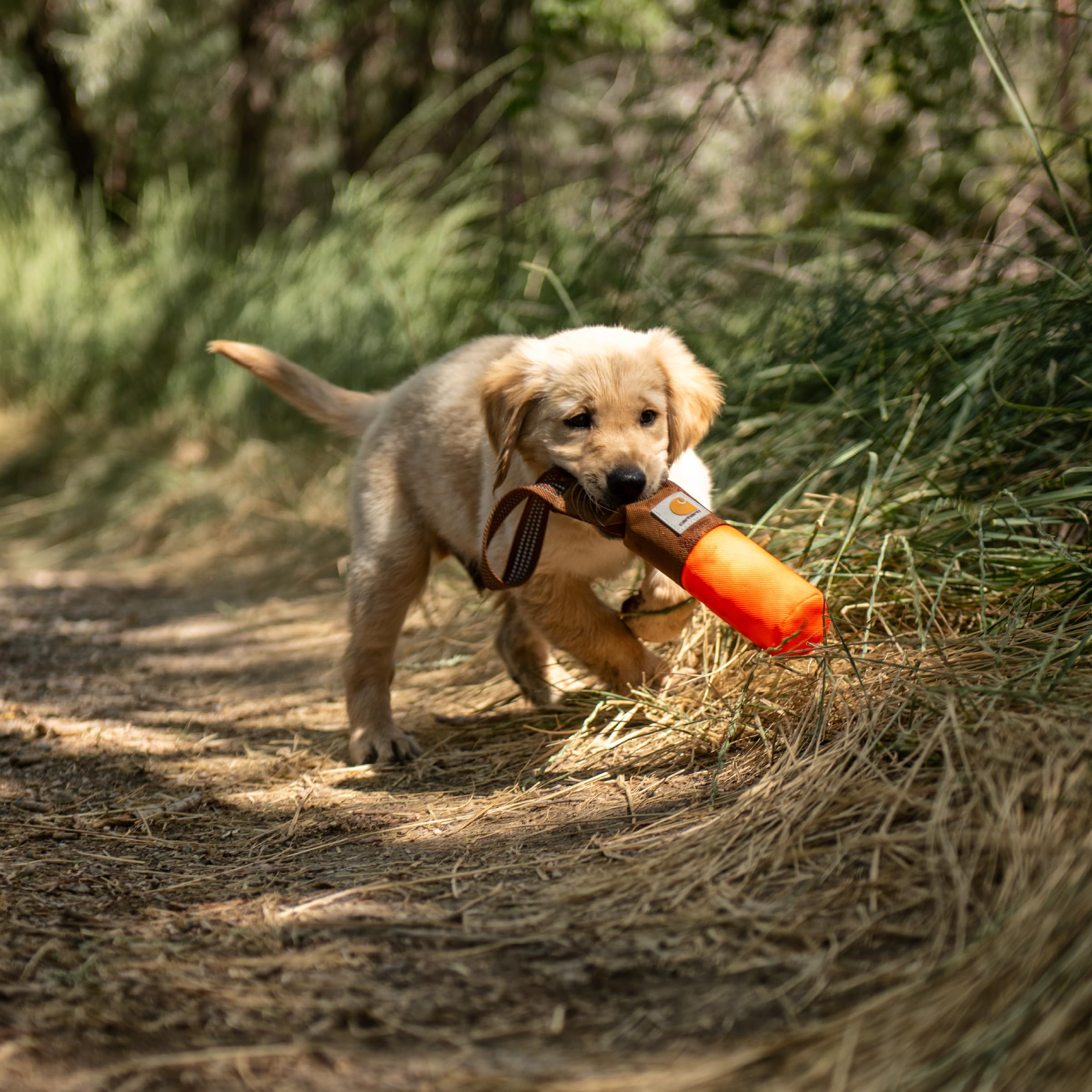 Carhartt Pet Training Tool, Dog Retrieving Bumper, Rugged Nylon Duck Canvas Training Bumper Designed for Retrieval Training, Hunter Orange - Image 4
