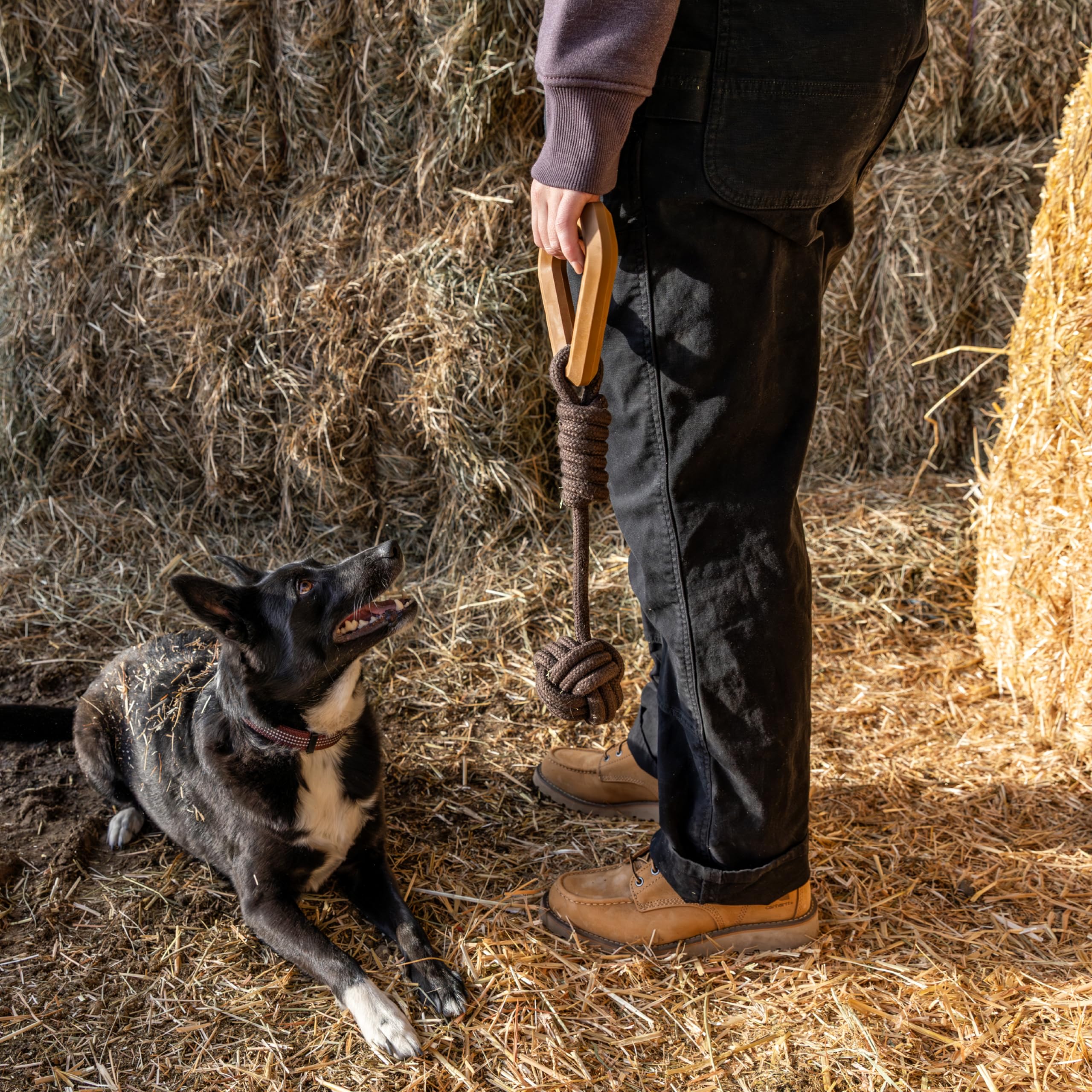 Carhartt Pet Training Tools, Rugged Dog Tool for Tug, Fetch and Play, Monkey Fist Dog Pull (Carhartt Brown) - Image 4